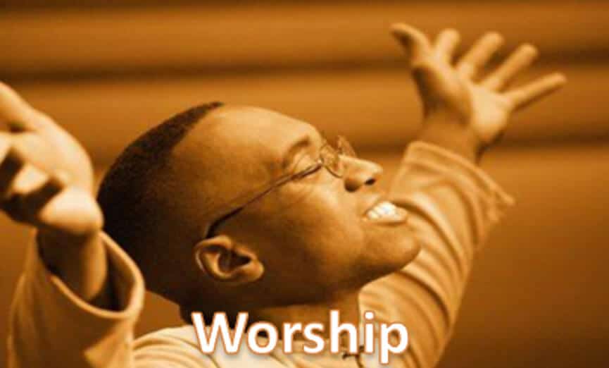 Worship Male Single Stock